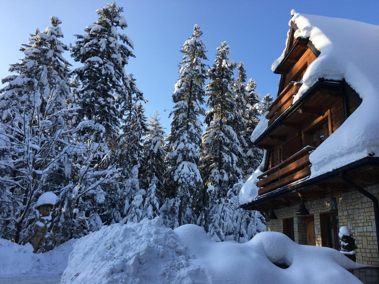 Hotel Dwor Karolowka Zakopane Esterno foto